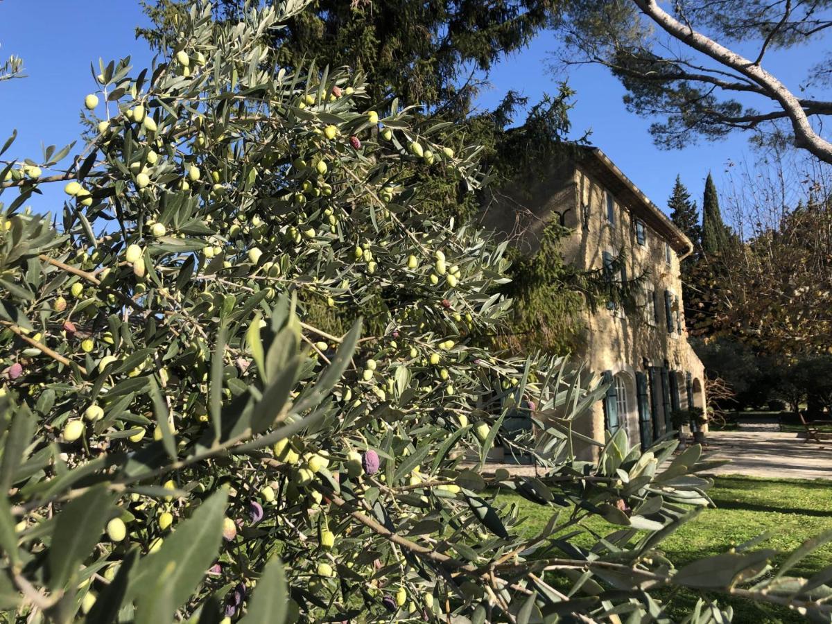 Desir De Provence Bed and Breakfast Sarrians Exteriör bild